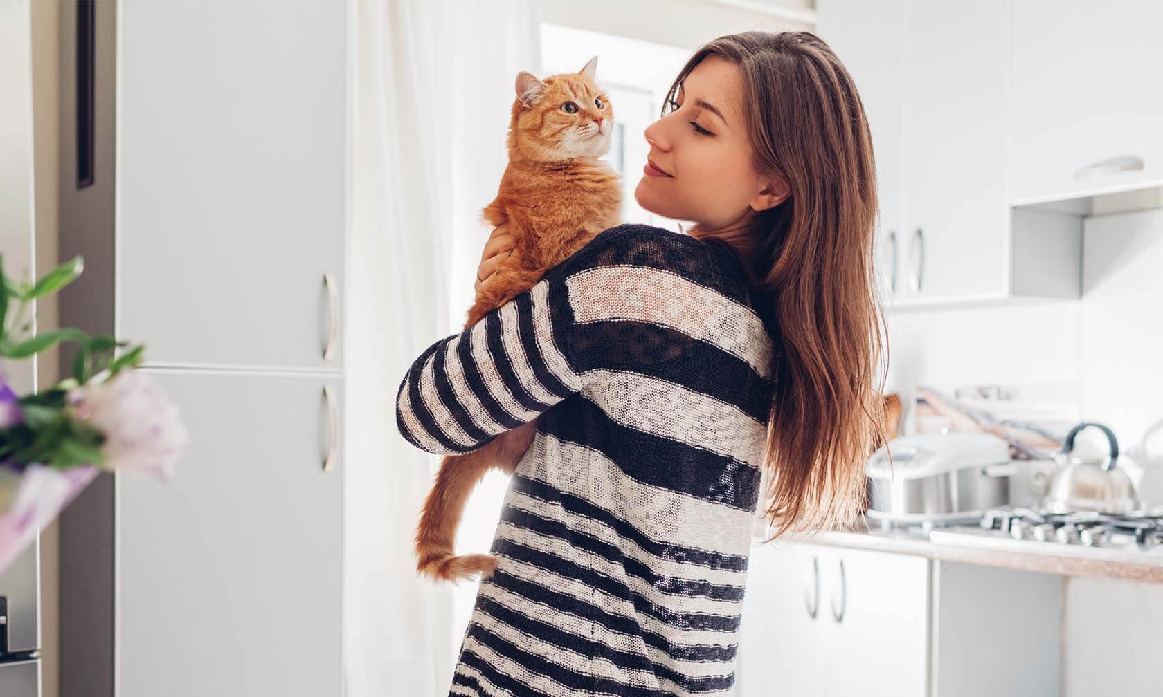 How to Be Successful at Taking Care of a Cat For the First Time