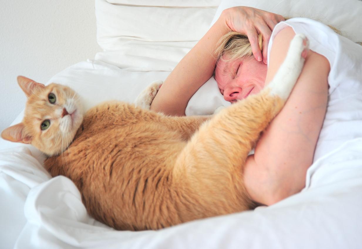 Why Does my Cat Wake me up in the Morning? Understanding Feline Behavior